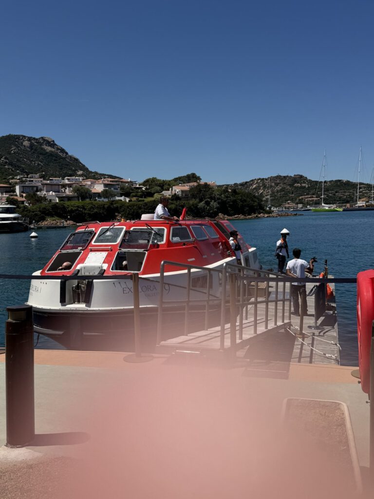 Hafenblick mit Kreuzfahrtschiffen