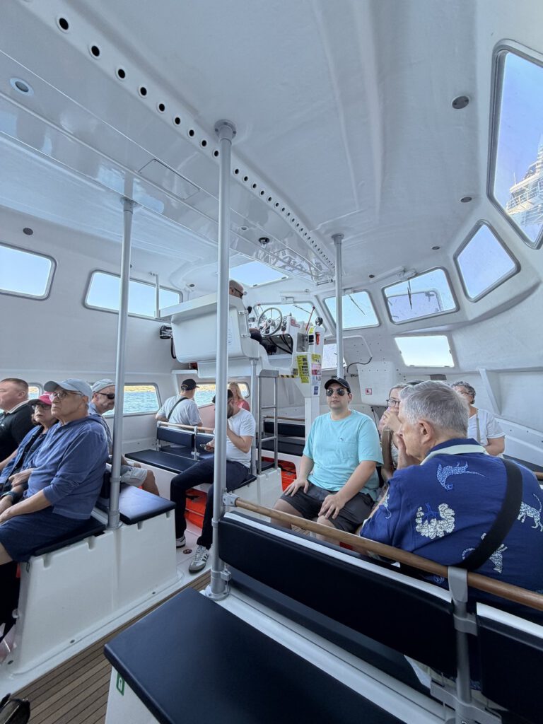 Hafenblick mit Kreuzfahrtschiffen