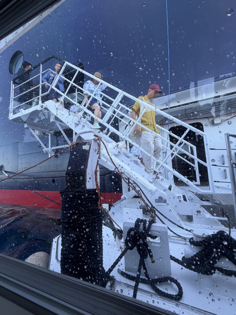 Hafenblick mit Kreuzfahrtschiffen