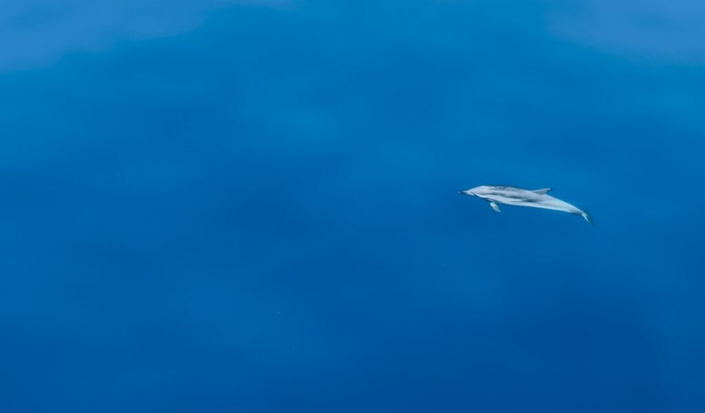 Blick über das Meer
