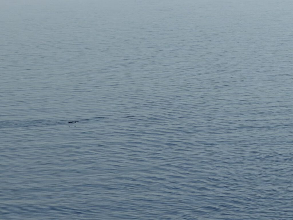 Blick über das Meer