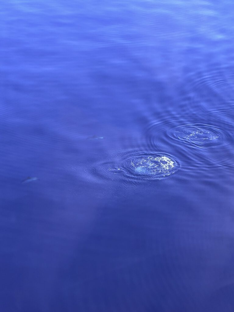 Blick über das Meer