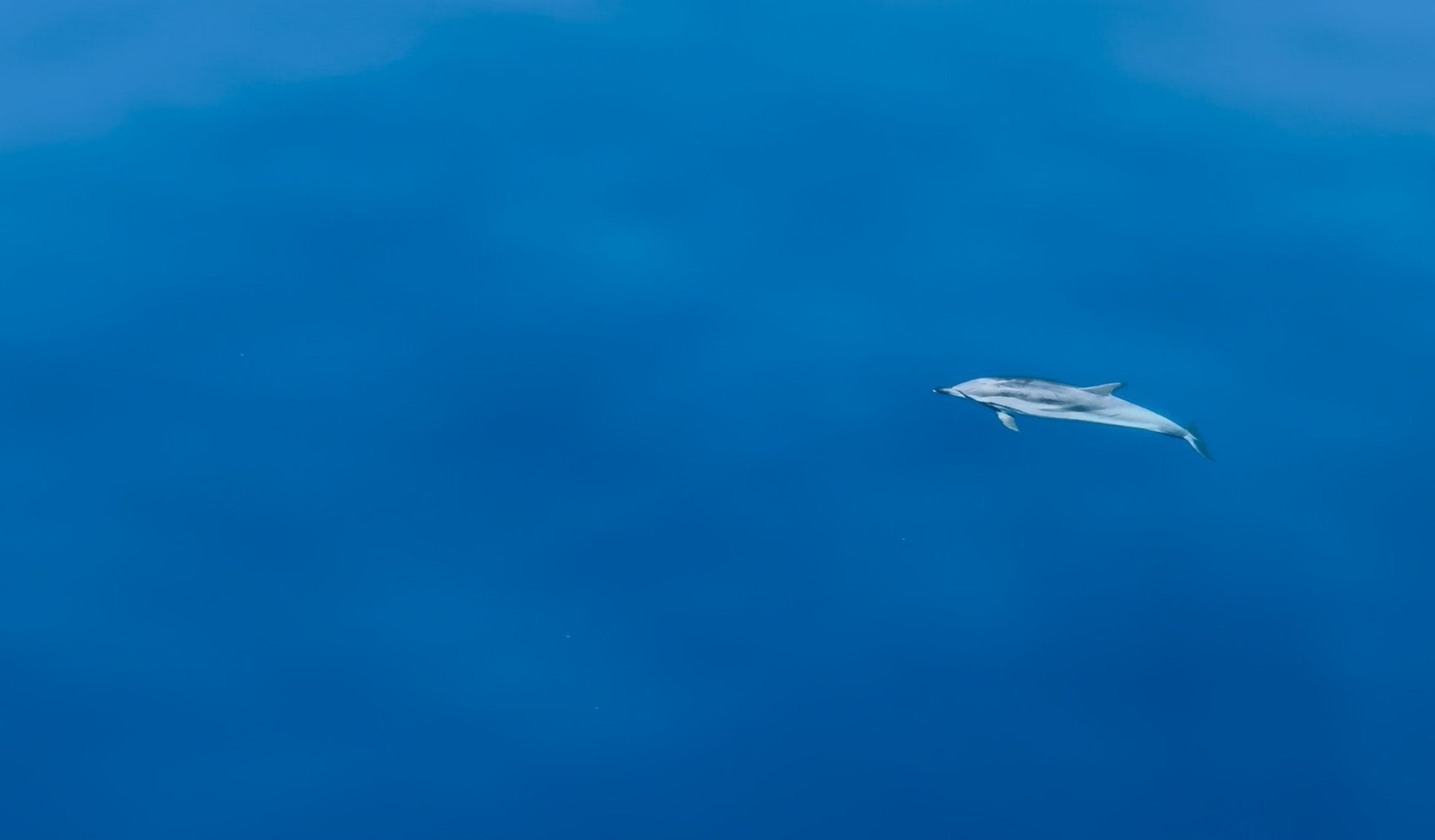 Blick über das Meer