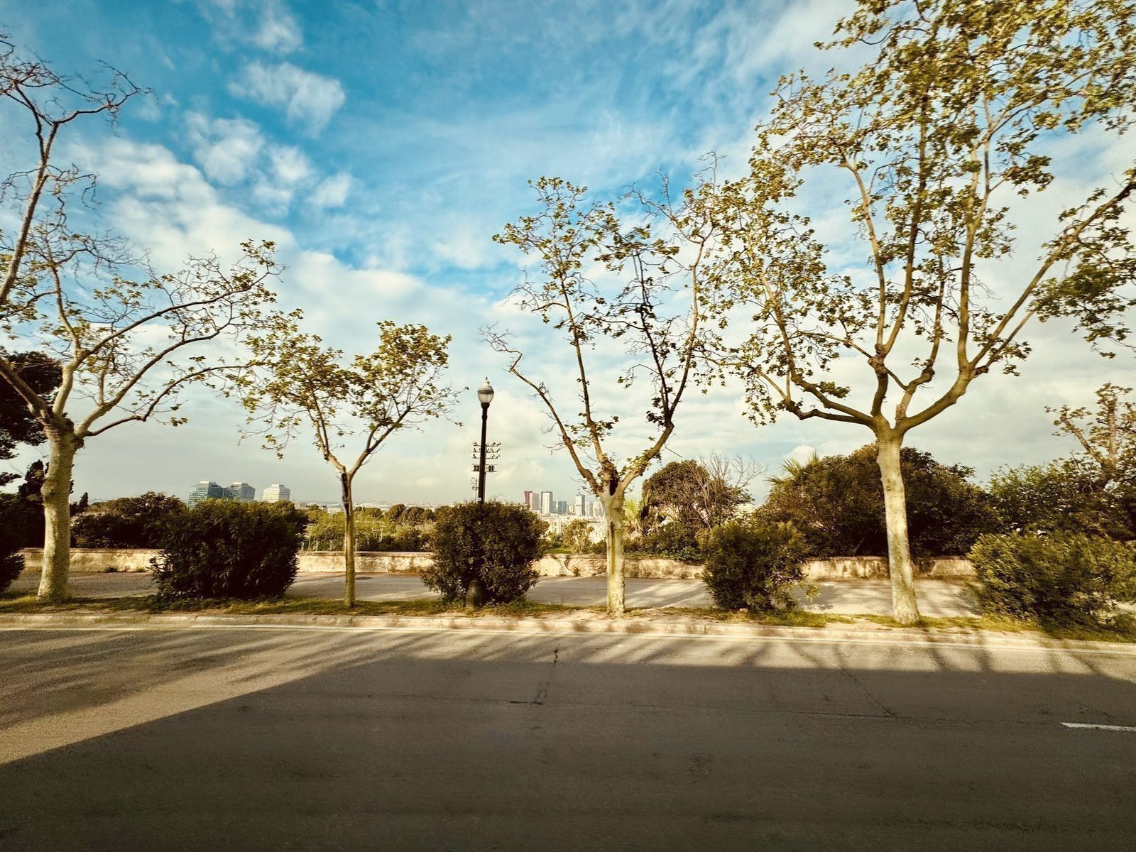 Blick auf die Stadt von einem Park