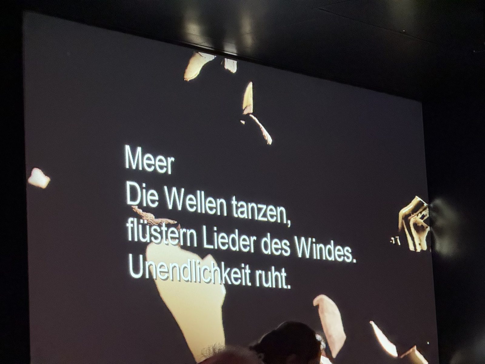 Projektion mit Meergedicht