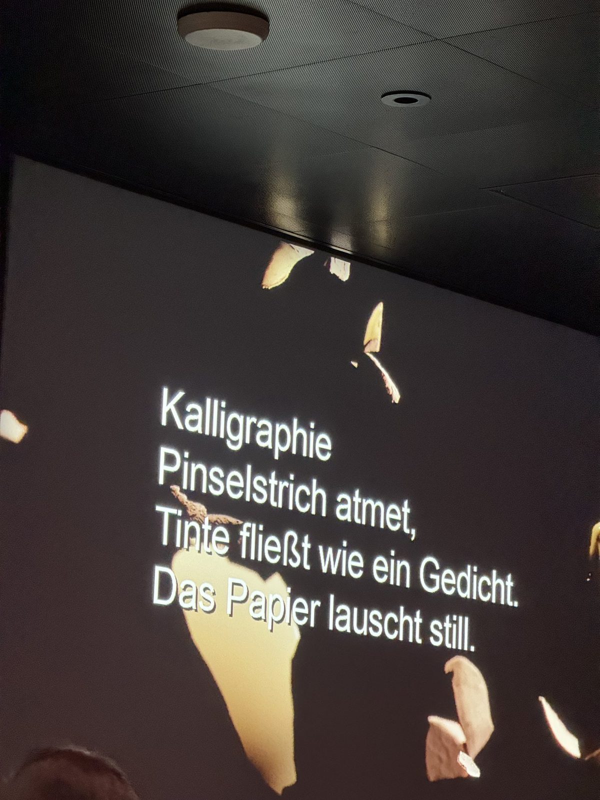 Projizieren mit Projektion