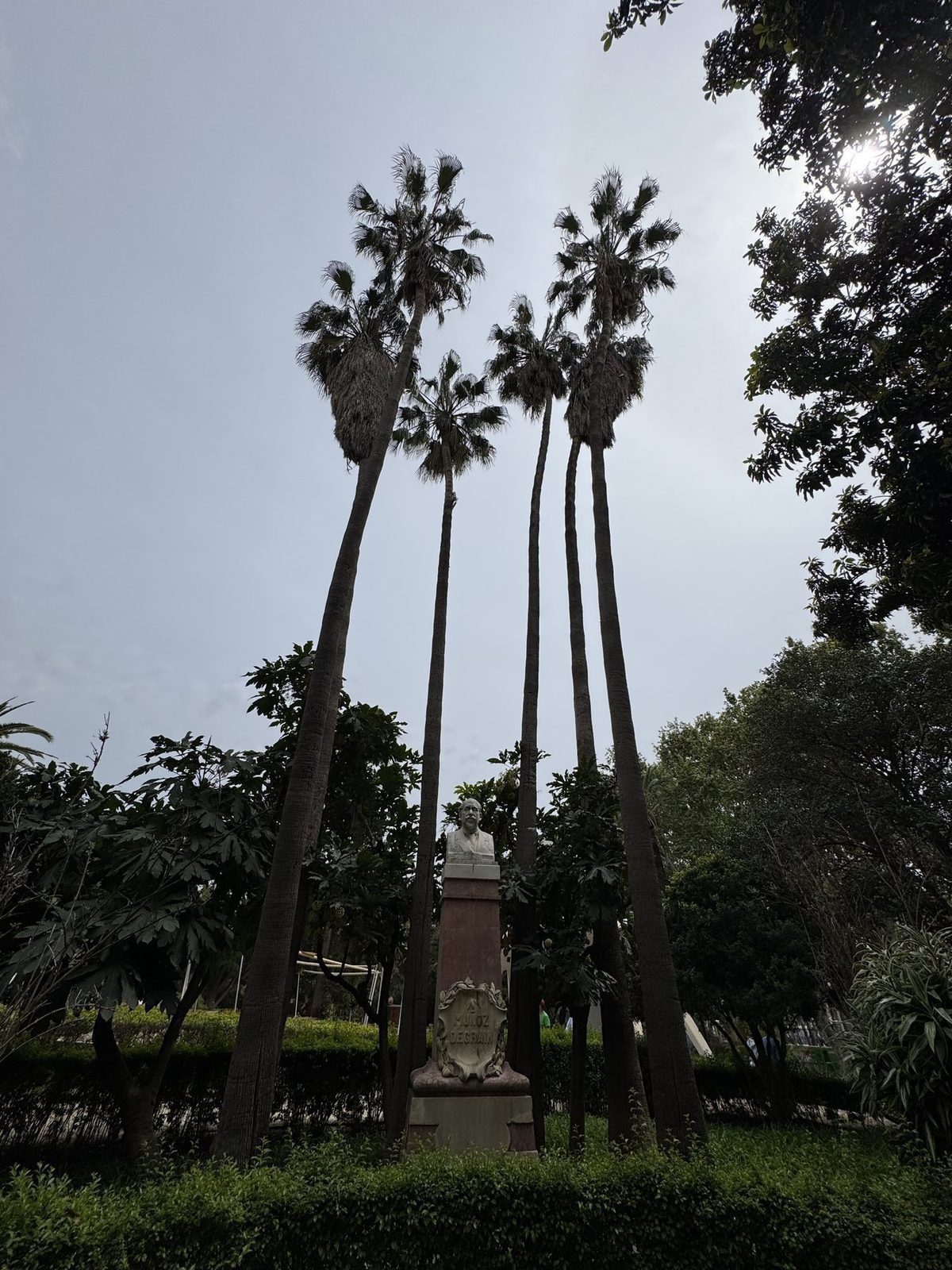 Statue unter Palmen in einem Park