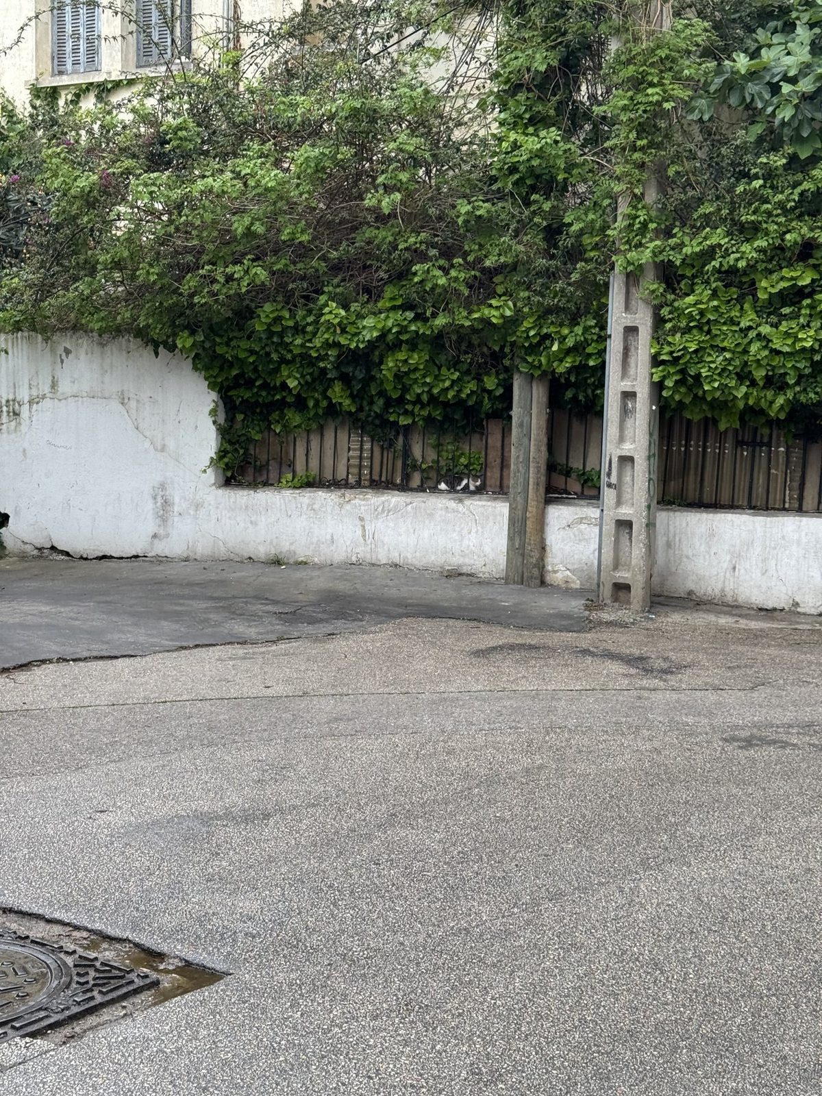 Verlassene Straße mit altem Zaun