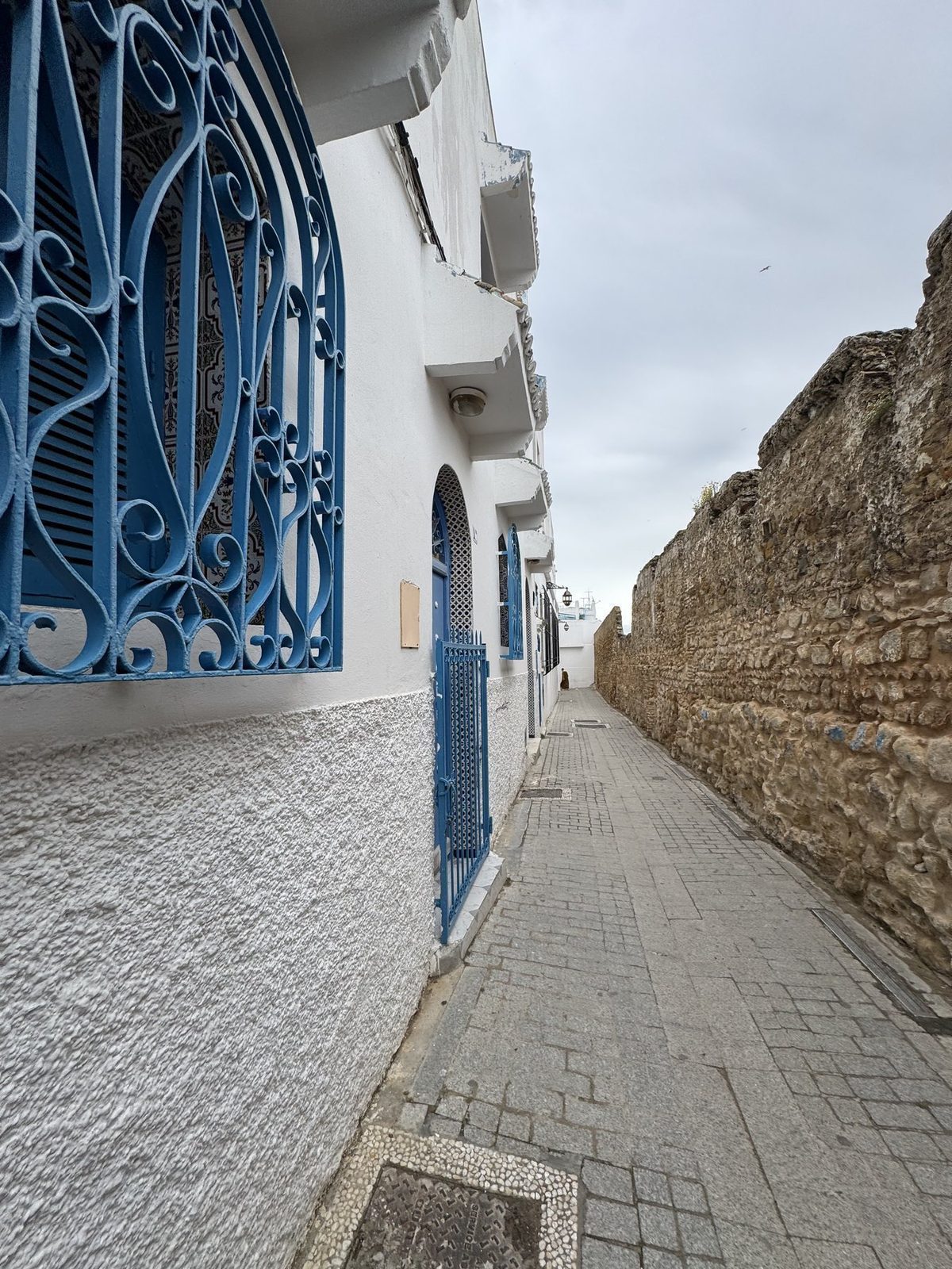 Blauer Gitterzaun an weißer Wand