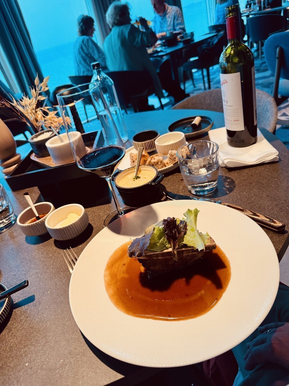 Gourmet Menü mit Wein an Bord