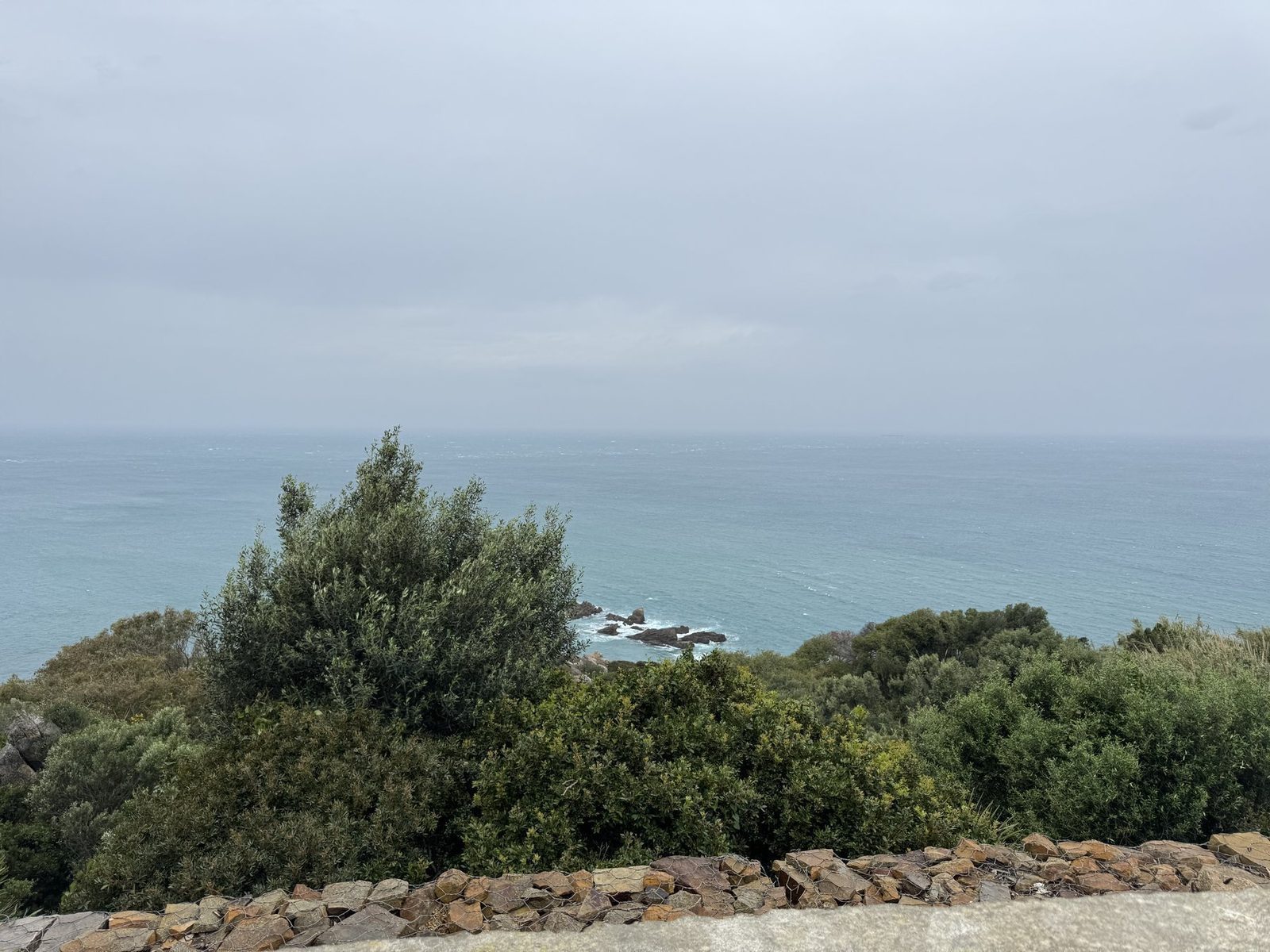 Meerblick mit Felsen und Sträuchern