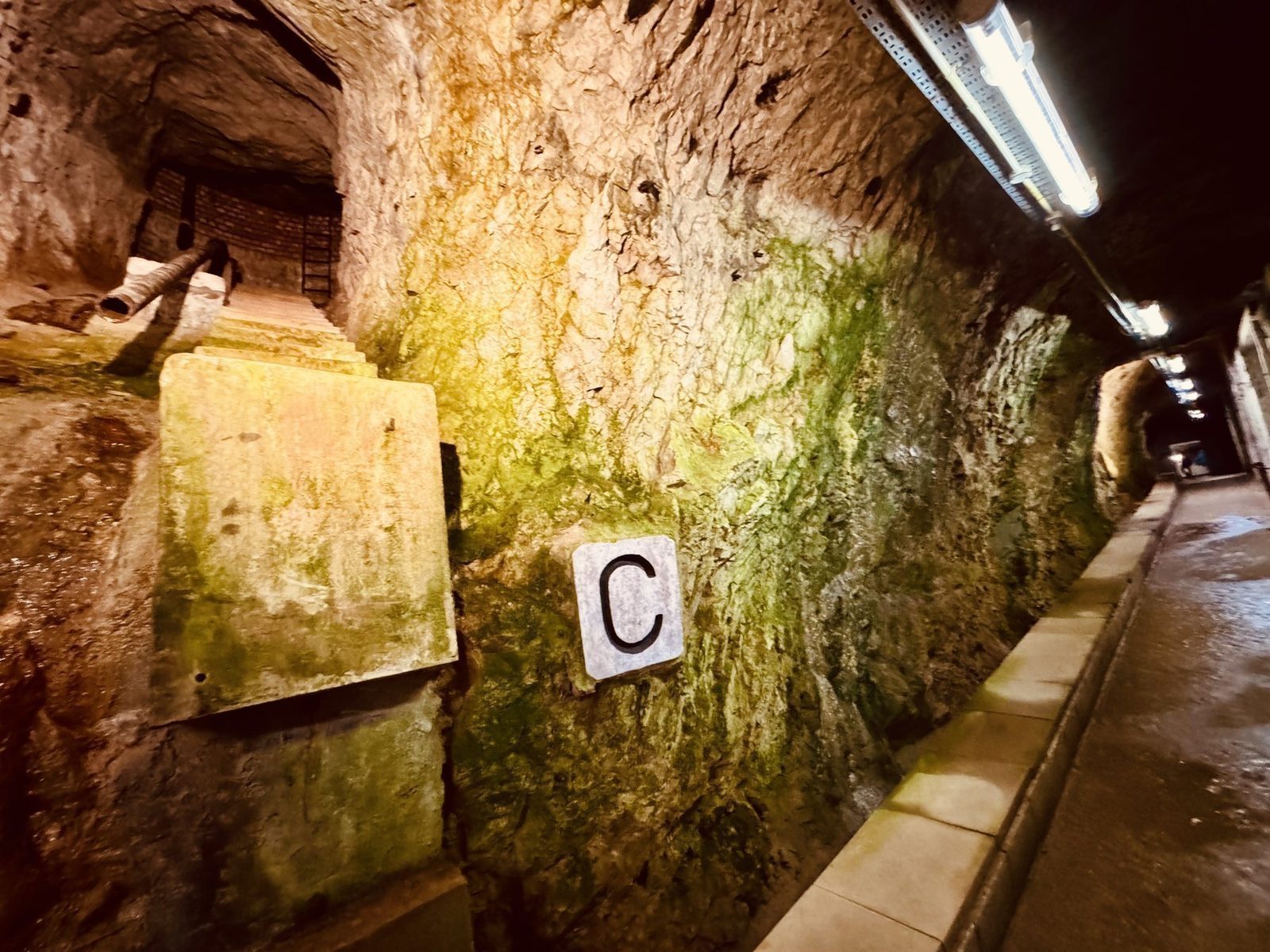 Mystischer Tunnel mit grünem Moos