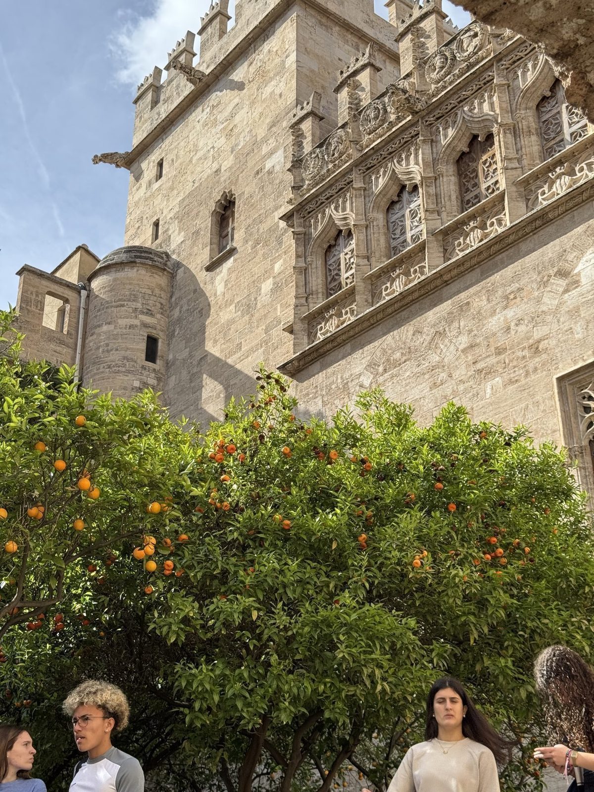 Orangenbäume vor gotischer Fassade