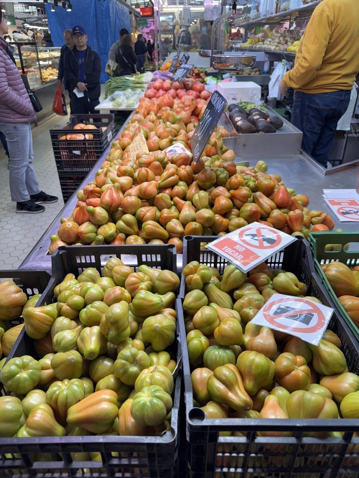 Farbenprächtige Tomaten auf dem Markt