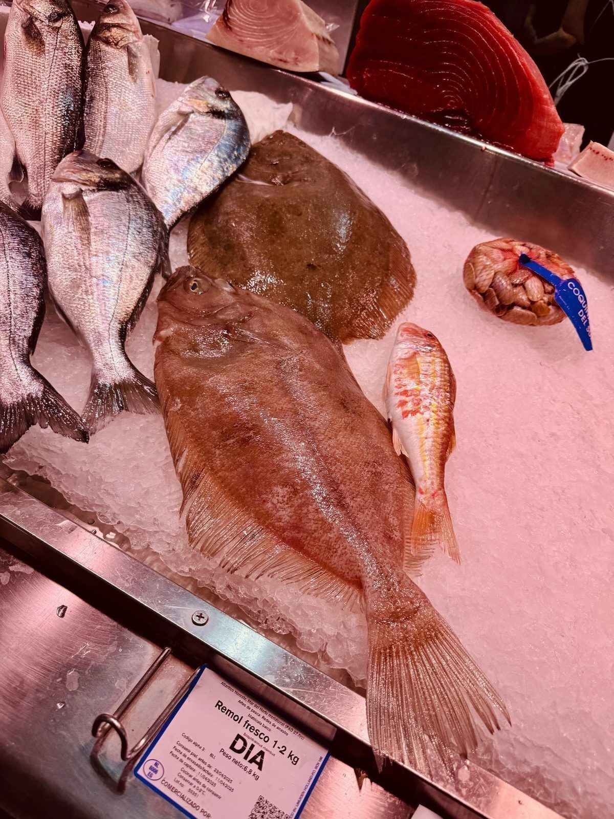 Frischer Fisch auf Eis