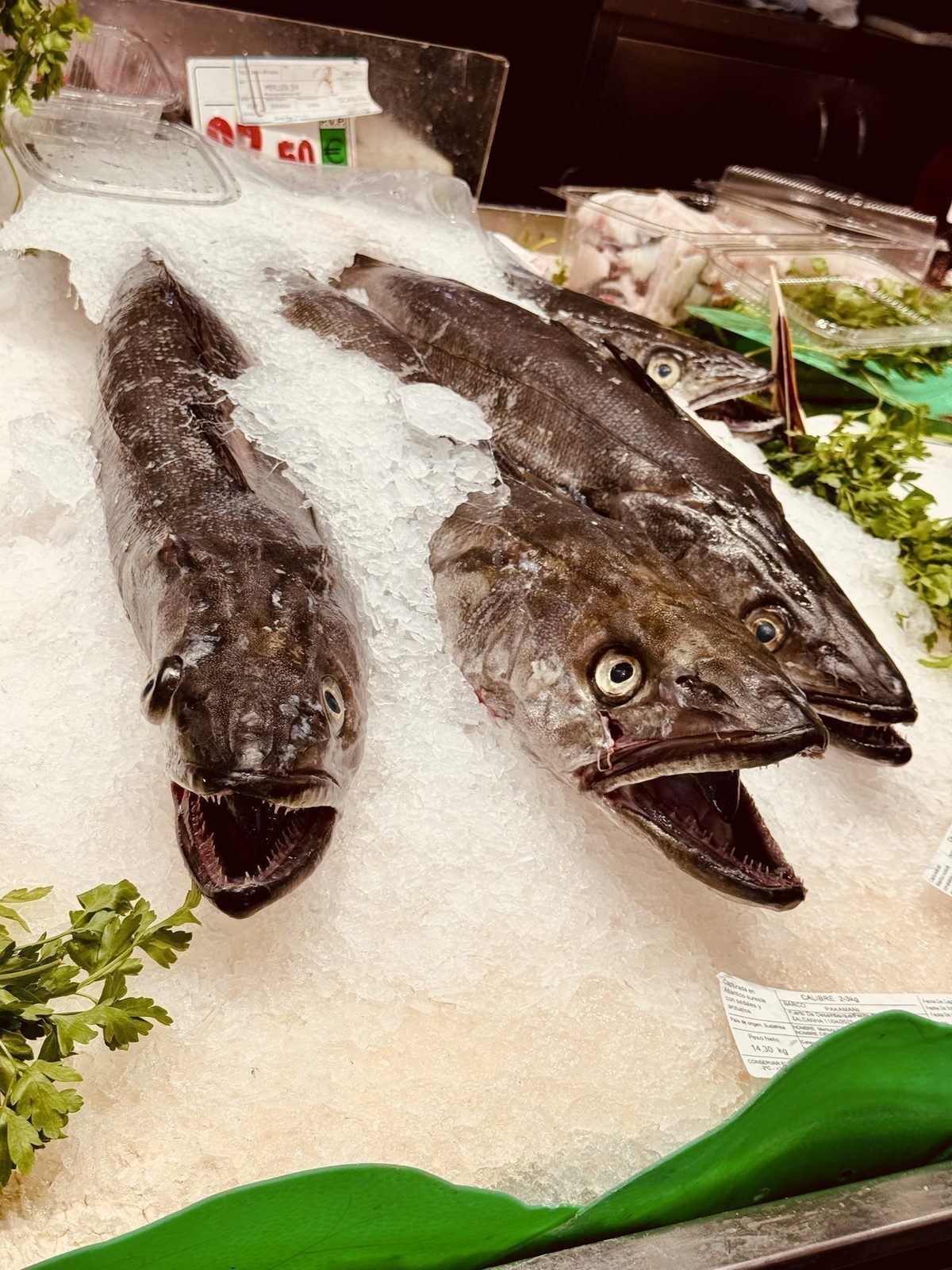 Frische Fische auf Eis