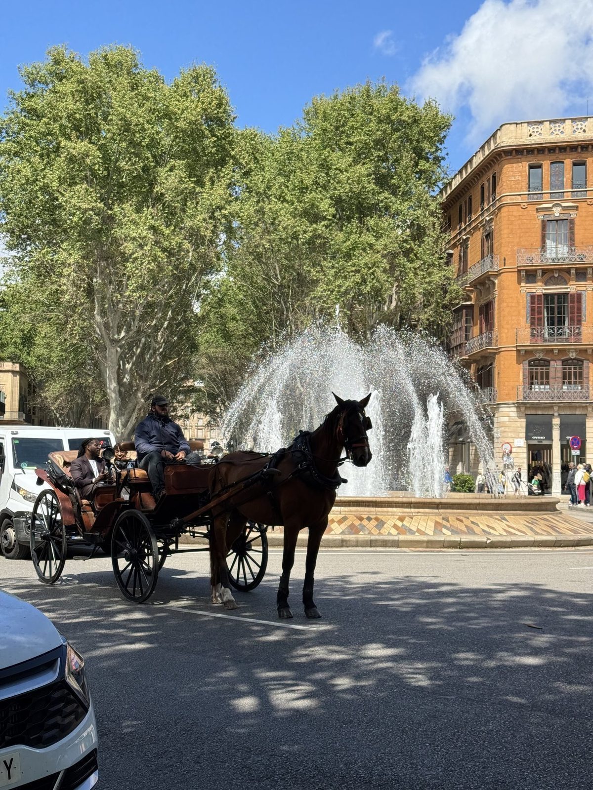 Pferdekutsche vor Brunnen
