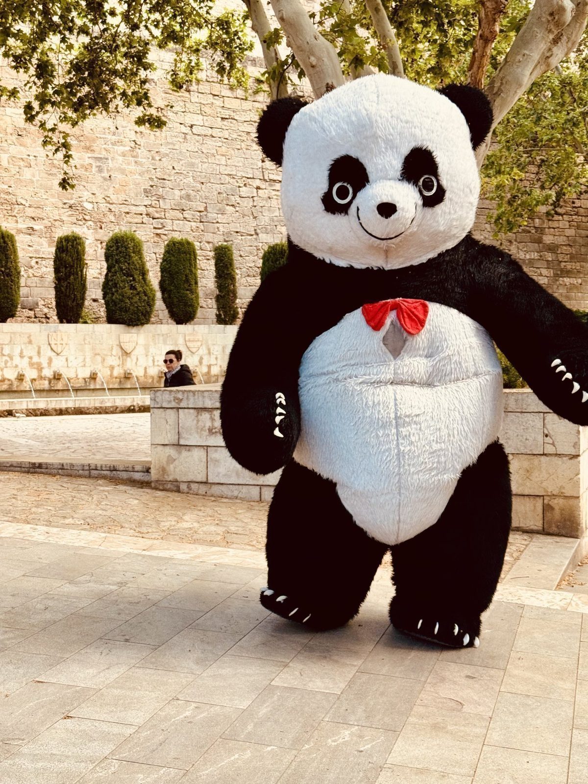 Panda Maskottchen in der Altstadt