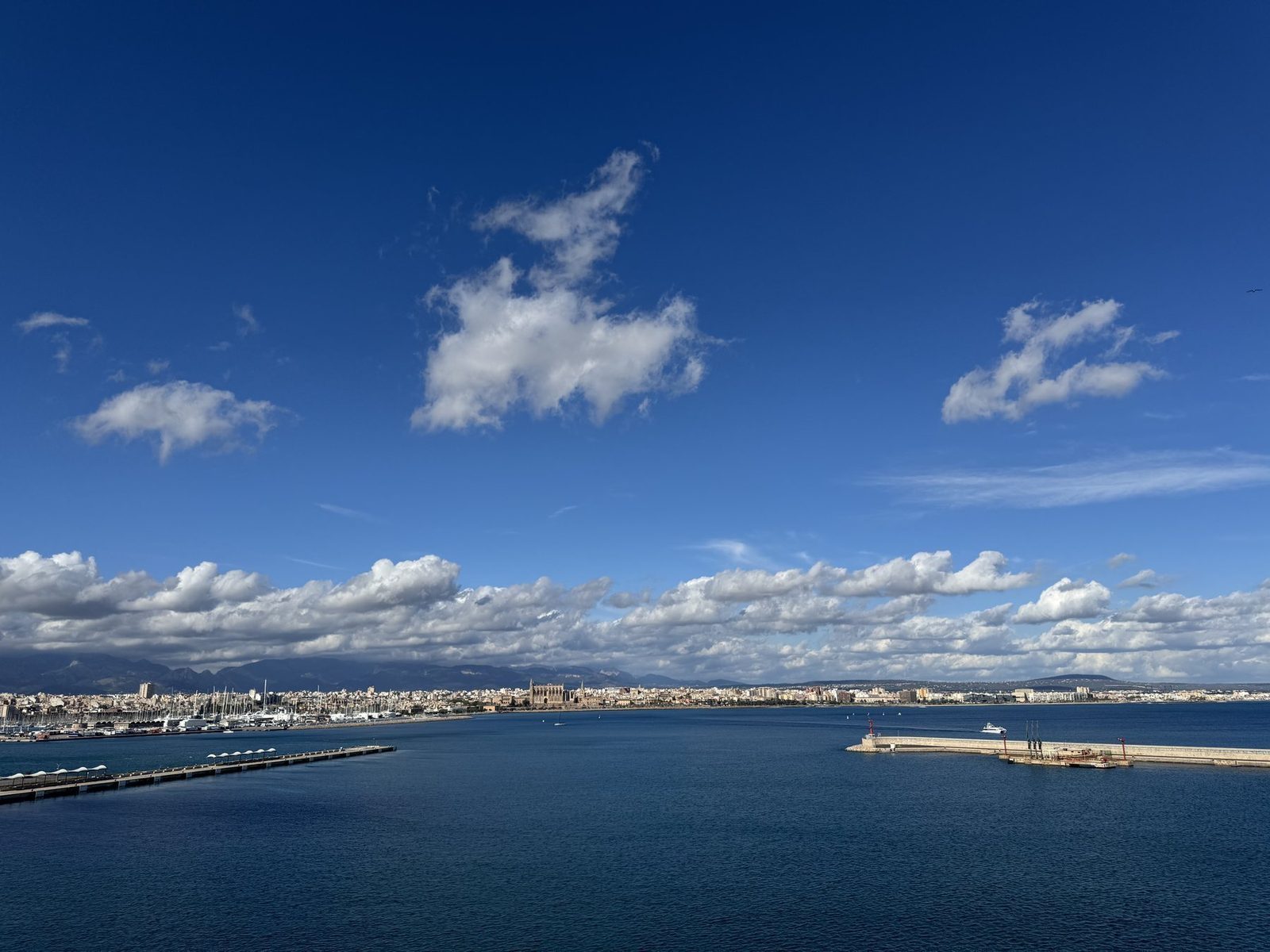 Blick auf die Küste mit Hafen