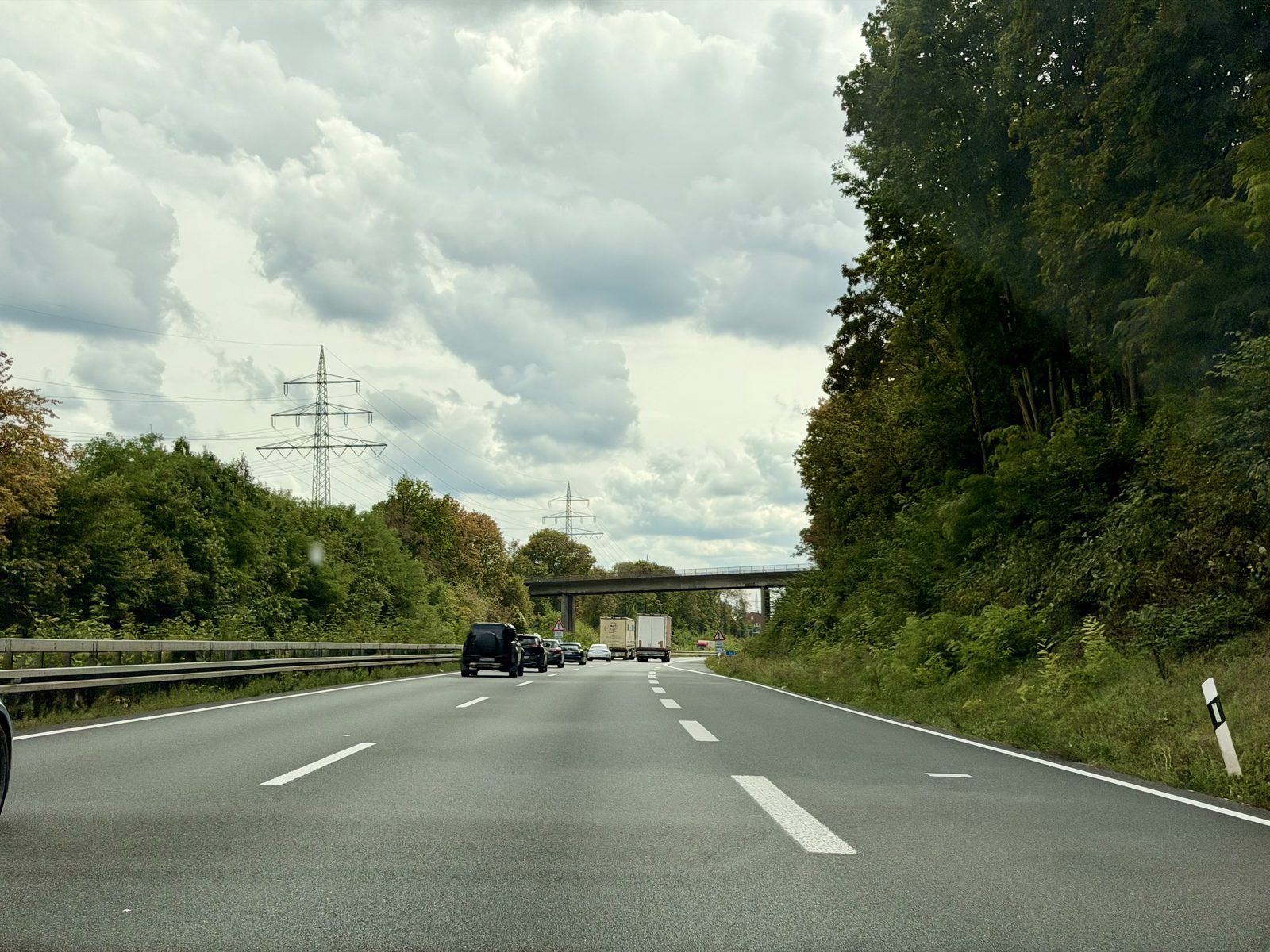Elefanten Rennen auf der Autobahn