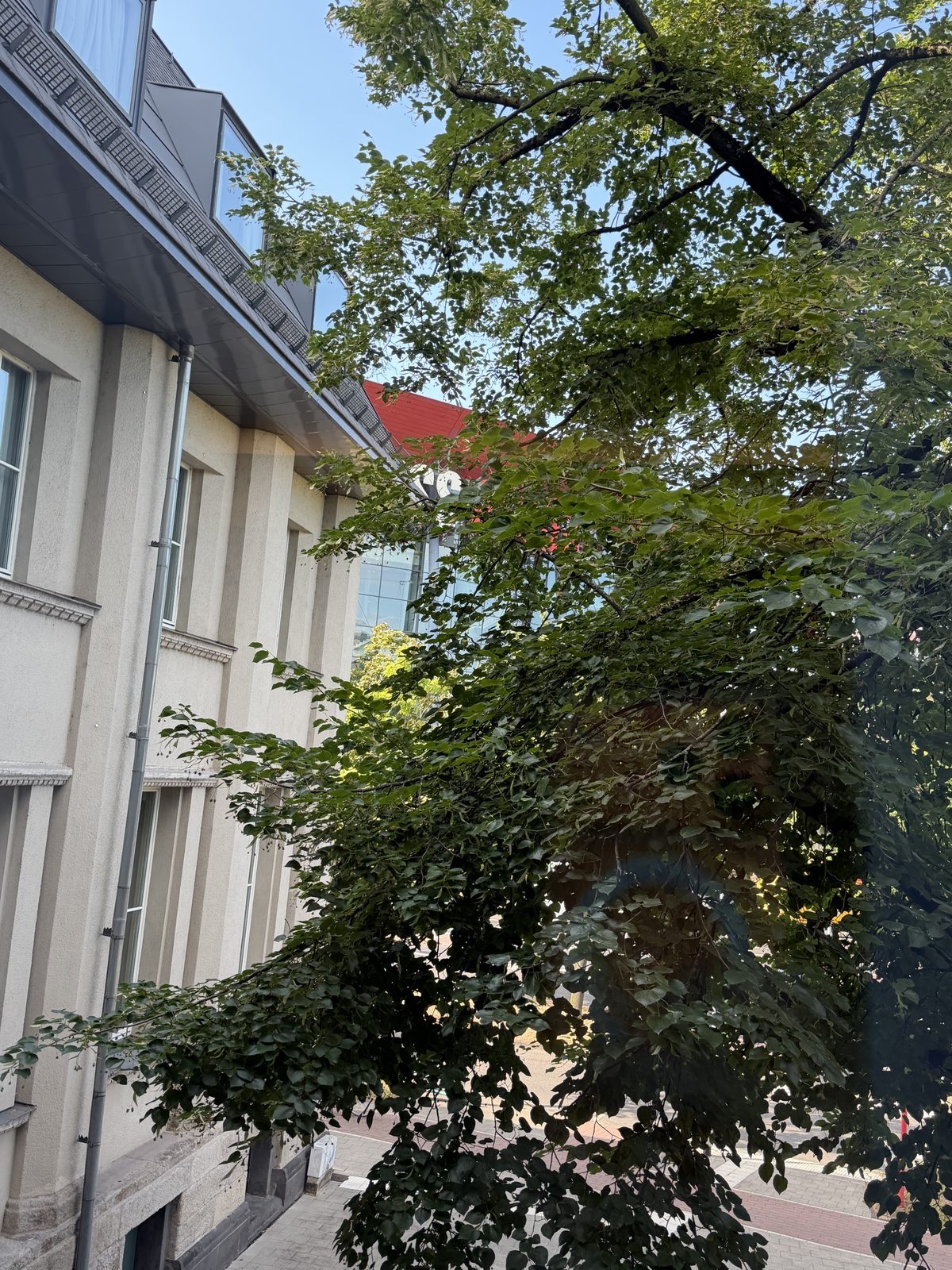 Der Ausblick auf die LANXESS Arena wird durch einen Baum versperrt, passt aber