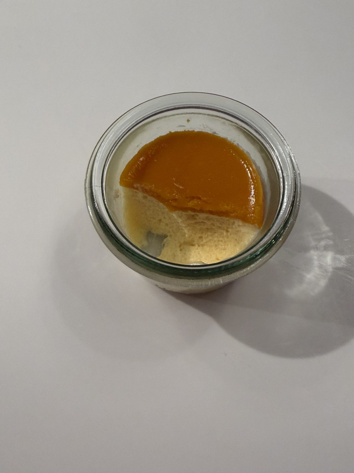 Und auch der Nachtisch, eine leckere Mousse mit Mangospiegel
