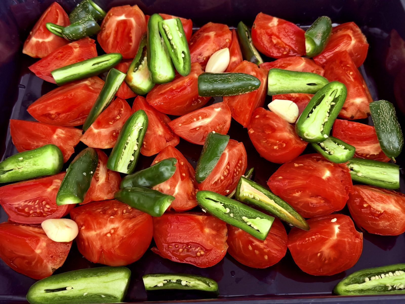 In einer dunklen Schüssel liegen rote Tomatenwürfel, grüne Jalapeños und Knoblauchscheiben